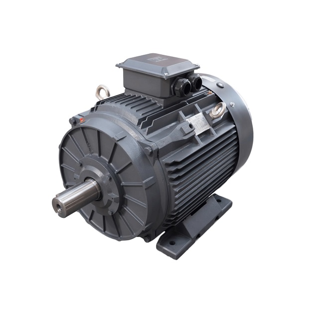 TEC Electric Motor Three Phase 3PH220KW2PB3T3 220KW 3000rpm Foot Mounted IE3